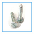 DIN7971 Zinc Plated Slotted Pan Head Self Tapping Screw